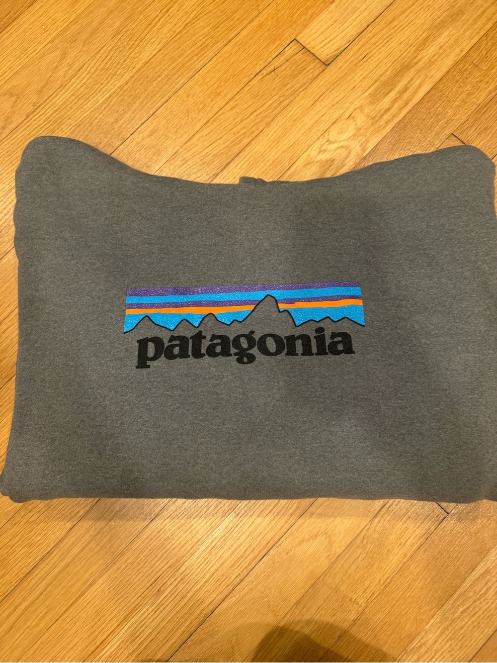 Patagonia Heather Gray Pullover Hoodie with Subtle Logo Print